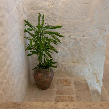 Mestru Rafeli Art كاروفينيو